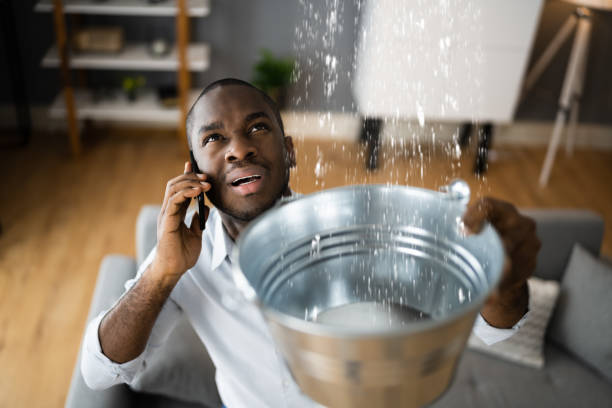  University Gardens, NY Water damage restoration Pros