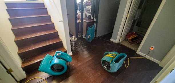 Best Mold removal after water damage  in University Gardens, NY