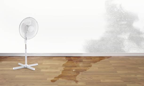Best Basement water damage restoration  in University Gardens, NY