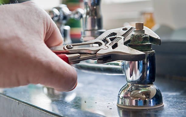 Best Professional water damage repair  in University Gardens, NY