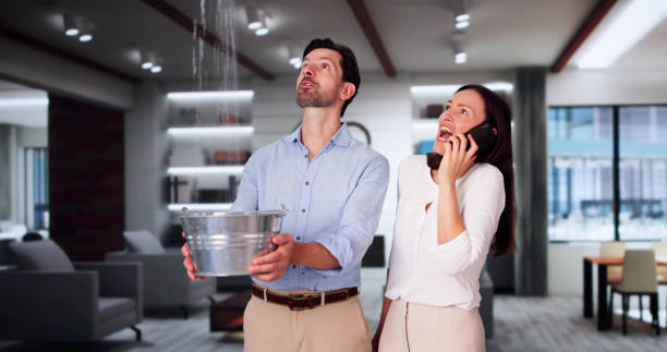Best Local water damage restoration  in University Gardens, NY